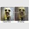 Original Custom Oil Painting Portraits , Dog Pet Portraits From Photographs 16&quot; X 16&quot;